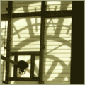 Thumbnail for version as of 08:26, 16 April 2006